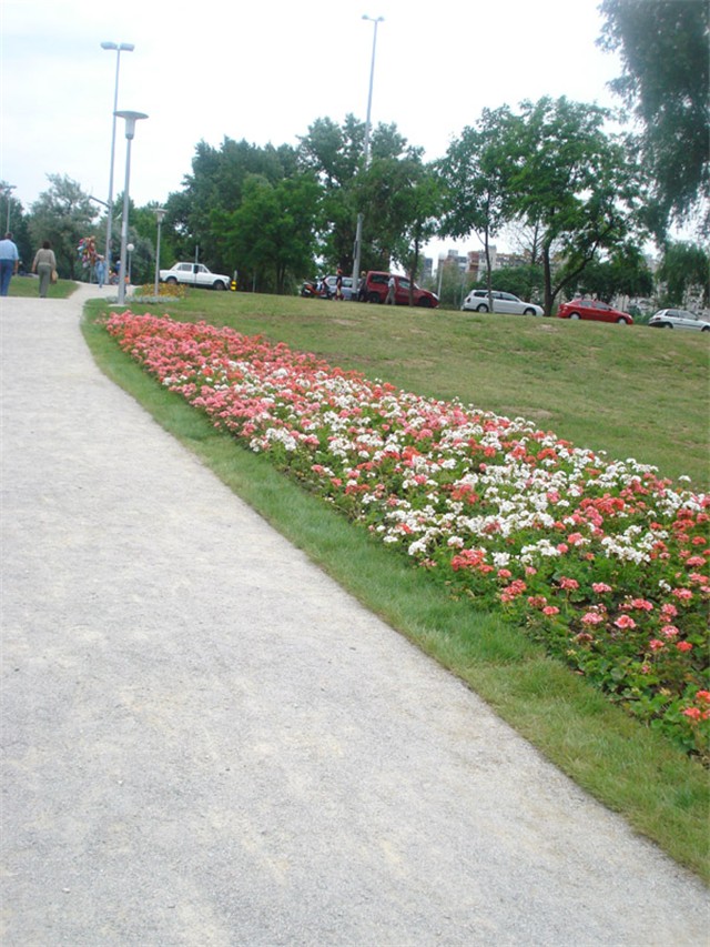 Flora Art Zagreb